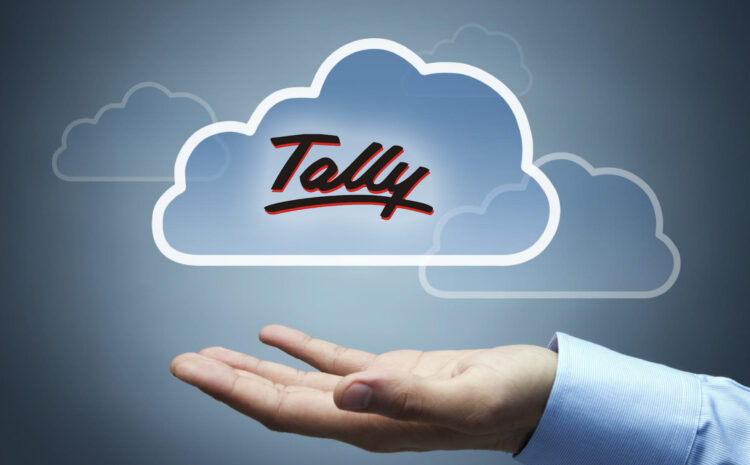 tally logo in cloud shape